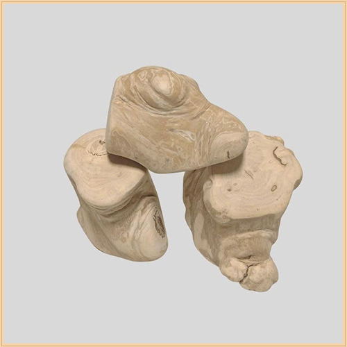 Đồ chơi thú cưng